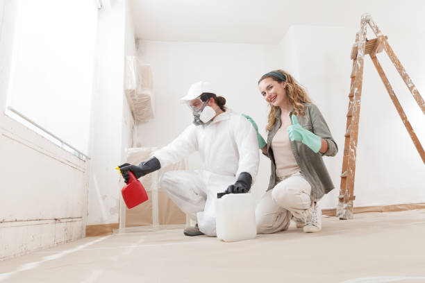 Best Mold Remediation for Healthcare Facilities  in Apalachin, NY